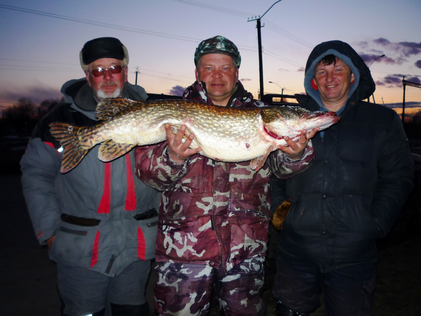 вести с водоемов. самарафишинг вести с водоемов. озеро ильмень самарская область. водоем где гниют корабли. рыбалка в чапаевске.