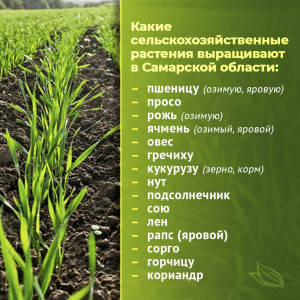 В Самарской области начались весенние полевые работы.