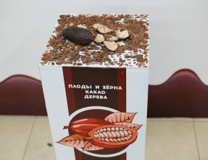 В Самаре проходит международная выставка — Музей шоколада «Шоколандия»