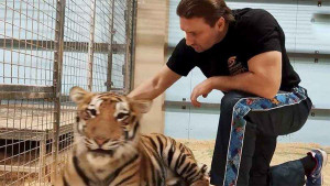 Запашный пояснил, что многие люди волновались за судьбу тигра и начали высказывать странные предположения о том, какая кара могла его настигнуть.