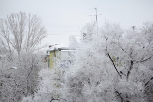В Самарской области ожидается сильный мокрый снег, метель