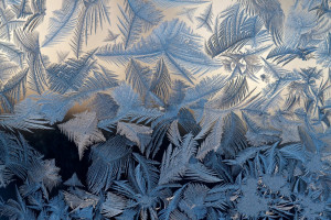 В ночь на 7 января в Самарскую область пришли аномальные морозы.