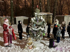 Активисты из Отрадного принимают участие в конкурсе «Лучший зимний двор России»