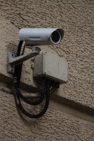 Использование камер видеонаблюдения для наказания за незаконный сброс мусора одобряет большинство самарцев