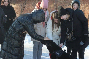 Студентам тольяттинского колледжа рассказали о службе в органах внутренних дел, о целях и задачах, стоящих перед сотрудниками полиции.