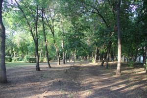 Три парка и сквер благоустроят в Самаре в 2023 году