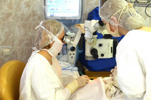 Врачи областной больницы удалили 10-сантиметровую ветку из черепа пациента