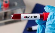 Число заболевших коронавирусом в регионе выросло до 353 человек