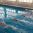 В Самарской области состоялся чемпионат Общества «Динамо» по плаванию