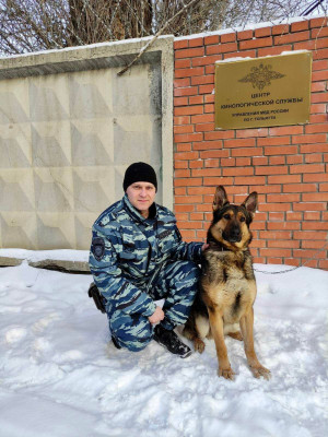 Служебная собака в Тольятти нашли 230 граммов героина