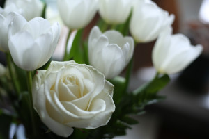 В Самаре на цветы и подарки на 8 Марта в этом году горожане потратят 6,4 тыс. руб.
