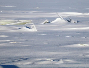 Лед в Антарктиде растаял до рекордно низкого уровня