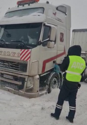 В Самарской области сотрудники ДПС оказали помощь водителю большегруза