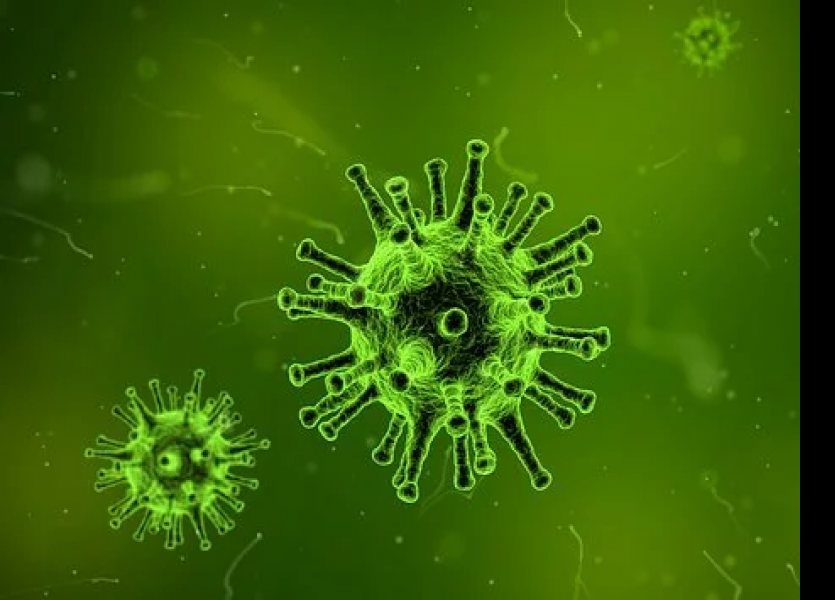 В Самарской области 10 марта коронавирусом заболели ещё 540 человек