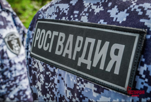 Задержанный росгвардейцами из-за бытового конфликта тольяттинец числился в федеральном розыске
