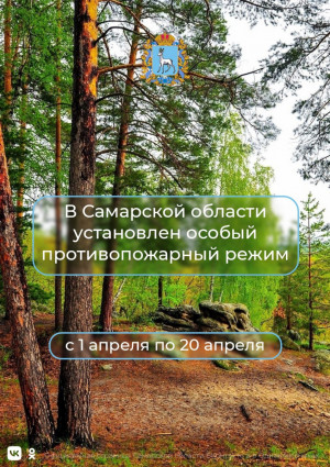 В лесах Самарской области области с 1 по 20 апреля установлен особый противопожарный режим