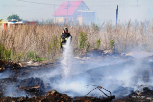 С начала недели на территории Самарской области в результате неконтролируемого пала сухой травы произошло 20 природных пожаров на общей площади менее 1 га.