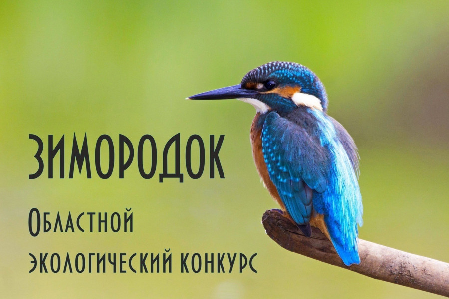 Самарцев приглашает Областной эко-конкурс 