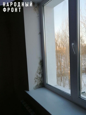 активисты Народного фронта выявили неблагополучный дом в Сызрани