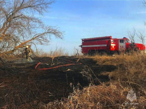 Пожарно-спасательные подразделения оперативно ликвидировали пожары и не допустили распространения огня на большие участки.