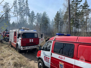 Наибольшее их количество зарегистрировано в Ставропольском районе - 8 пожаров на общей площади 0,158 га.
