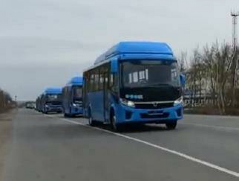 Первая десятка новеньких синих автобусов прибыла сегодня в Новокуйбышевск