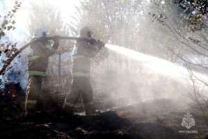 Огнеборцы оперативно ликвидировали все произошедшие природные и лесные пожары, и не допустили распространения огня на большие участки.