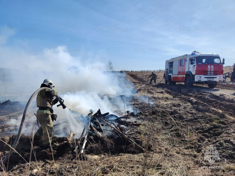 В Тольятти провели пожарно-тактическое учение: огнеборцы отрабатывали навыки тушения лесных пожаров