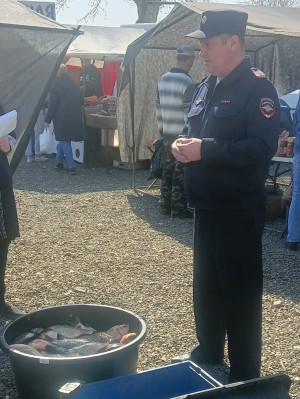 В Елховке сотрудники полиции на местном рынке выявили незаконную продажу рыбы
