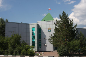 Самарские таможенники выявили недекларирование нефтепродуктов крупным предприятием Ульяновска