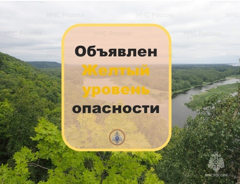 С 12 по 15 мая в северных районах Самарской области сохранится высокая пожарная опасность лесов 4 класс