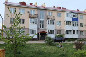 В Самарской области ранее судимые украли телевизор из квартиры и спрятали в кустах