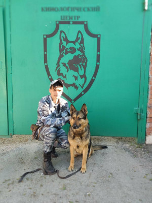 В Тольятти служебная собака помогла полицейским задержать женщину с наркотиками