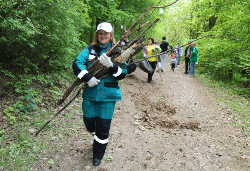 Тольяттинский лес очистили от сухостоя и валежника