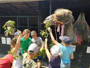 Самарский зоопарк приглашает на День защиты детей