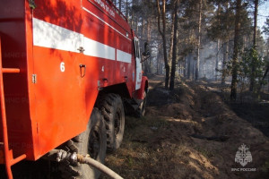 Пожар в Ставропольском районе  на территории Новобуянского лесничества потушен.