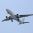 «Аэрофлот» предупредил о глобальном сбое в системе бронирования и регистрации