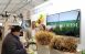 Самарская область стала участником XXV Российской агропромышленной выставки «Золотая осень – 2023».