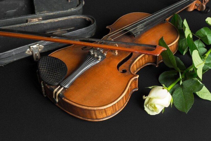 Нравится скрипка