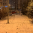 В Самаре ночью -1, -3°С, днем -1, +1°С. Ночью на дорогах снежные заносы, днем на дорогах гололедица, местами снежные заносы.
