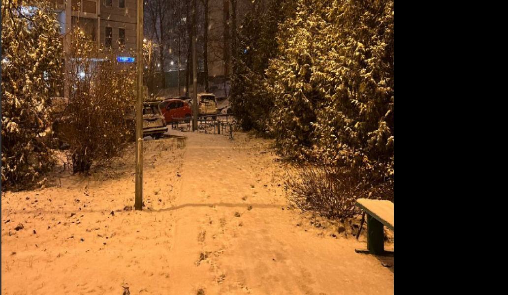 1 декабря в Самарской области небольшой снег, -3°С