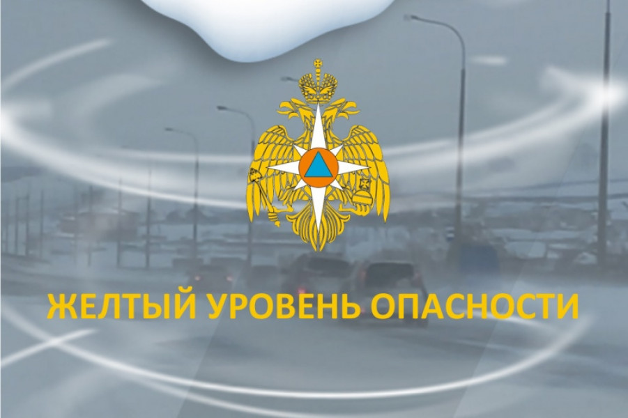 28 декабря местами в Самарской области ожидается сильный ветер, метель