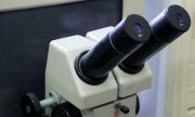 В Самарской области определили 108 победителей конкурса «Молодой ученый»