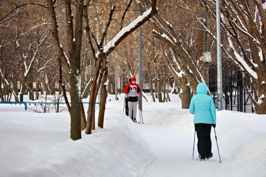 В самарском парке «Воронежские озера» прошло первенство по лыжным гонкам
