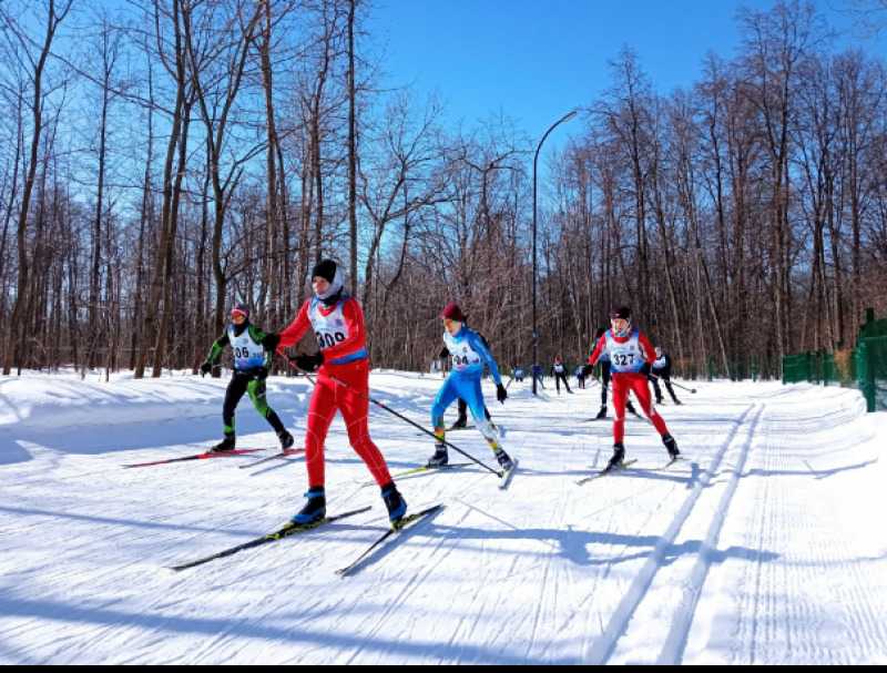 В регионе завершились областные соревнования по лыжным гонкам на призы спортивной школы «Чайка»