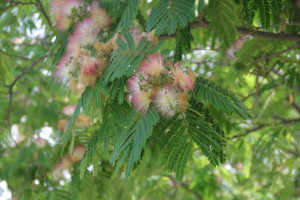 Крым посетило более 20 млн человек с 2014 года