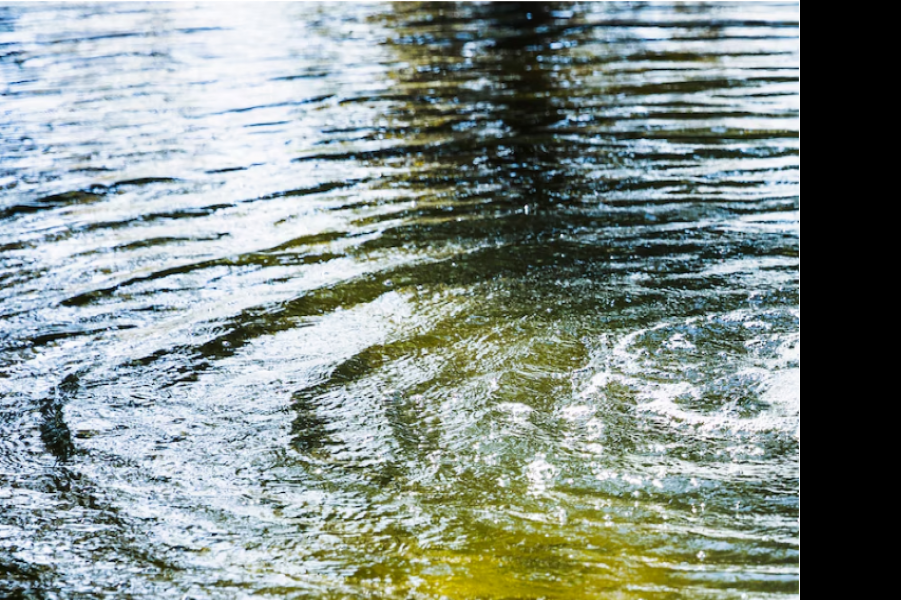 Уровень воды на реке Малый Кинель у села Полудни превышает на 5 см опасную отметку
