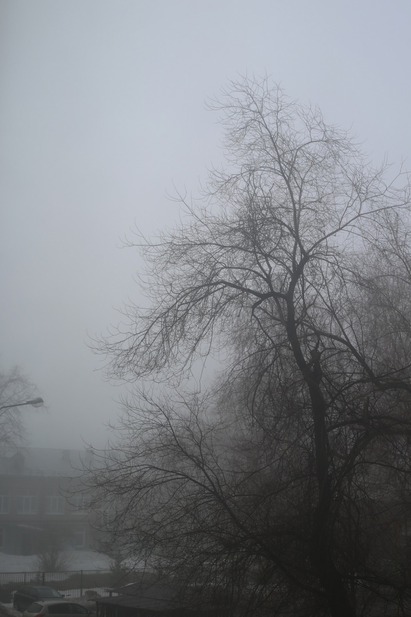 До конца дня 7 апреля, ночью и утром 8 апреля местами по Самарской области сохранится туман