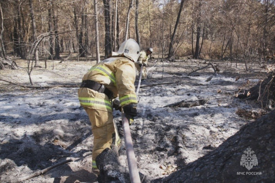 С начала года пожарно-спасательные подразделения региона были задействованы на тушение 211 природных пожаров