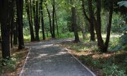 Объем озеленения в Самаре нужно увеличить почти в четыре раза